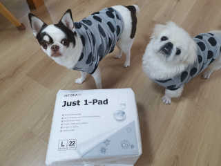 mini unni님이 올린 리뷰 사진 3
