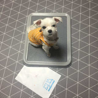 당근님이 올린 리뷰 사진 3