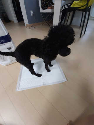 꼬몽님이 올린 리뷰 사진 3