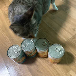 [펫토리아]배피 고양이,빌리강아지 대용량주식캔 — 4.5점을 준 리뷰어가 2019년 7월 올린 사용 사진
