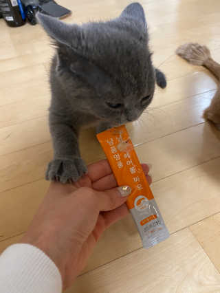 모델윤지님이 올린 리뷰 사진 1