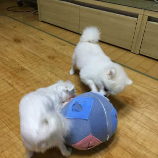 윤보라님이 올린 리뷰 사진 2