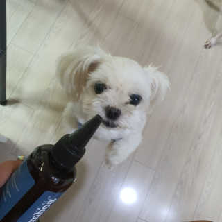 엣헴님이 올린 리뷰 사진 3