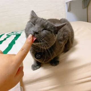 경던님이 올린 리뷰 사진 1