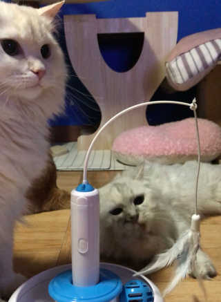 fively님이 올린 리뷰 사진 1