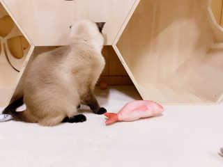 여덟둥이네님이 올린 리뷰 사진 4