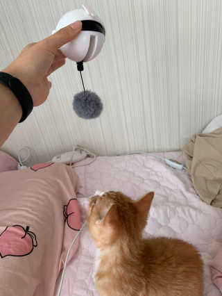 라미라미님이 올린 리뷰 사진 2