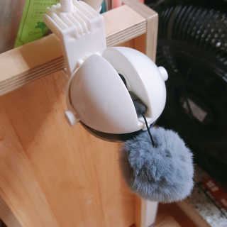 떠뇽님이 올린 리뷰 사진 4