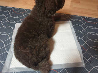 깨비님이 올린 리뷰 사진 2