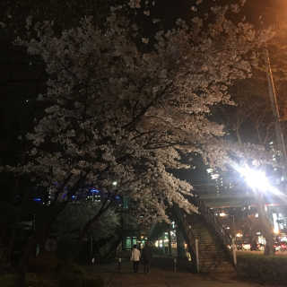 BoeunLee님이 올린 리뷰 사진 1
