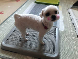 황방울이님이 올린 리뷰 사진 3