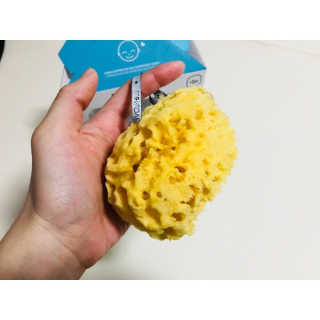 룰라러브 모공관리 끝 지중해산 천연해면 바디스펀지 — 4.33점을 준 리뷰어가 2018년 1월 올린 사용 사진