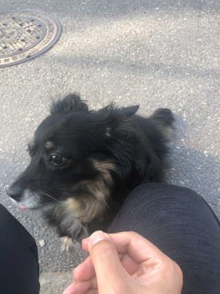 DaKeunSong님이 올린 리뷰 사진 3
