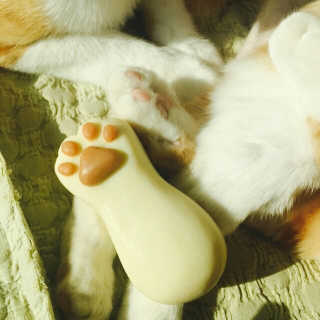 찡찡이님이 올린 리뷰 사진 2
