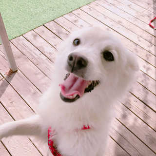 핑크팬더님이 올린 리뷰 사진 3