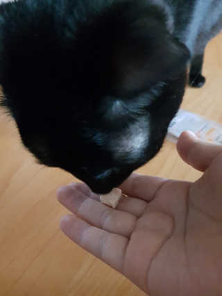 김초희님이 올린 리뷰 사진 3
