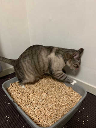 벼뤼님이 올린 리뷰 사진 3