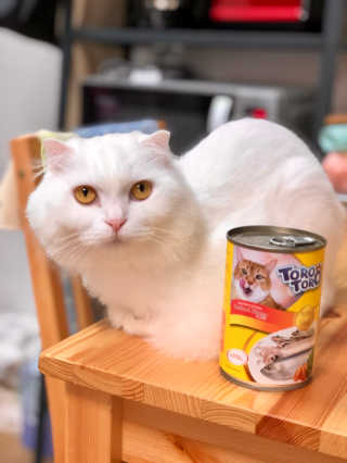 지연님이 올린 리뷰 사진 1