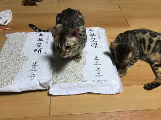 Erika님이 올린 리뷰 사진 3