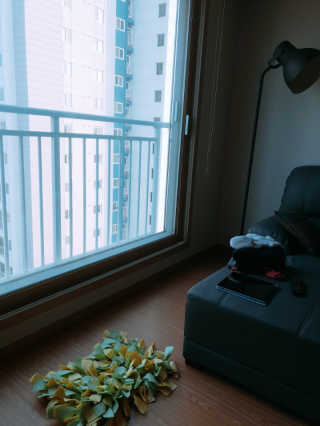 YesolPark님이 올린 리뷰 사진 1