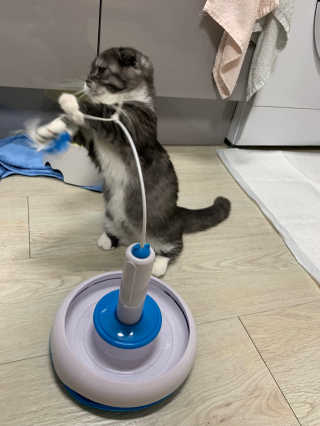 송유미님이 올린 리뷰 사진 2