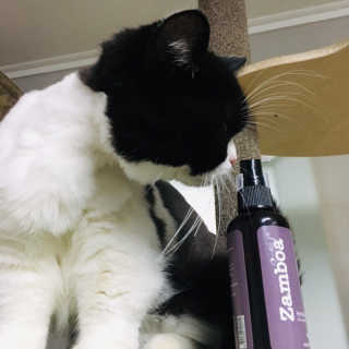 고고고님이 올린 리뷰 사진 3