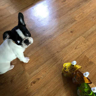 미소마밍님이 올린 리뷰 사진 1