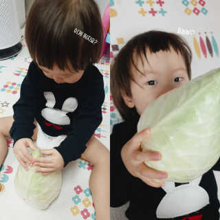 [프레베] 꼬깔양배추 3통 1.8kg 이상 — 4점을 준 리뷰어가 2018년 12월 올린 사용 사진