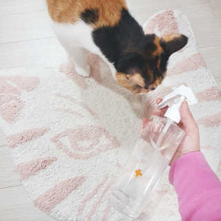 JENNY님이 올린 리뷰 사진 1
