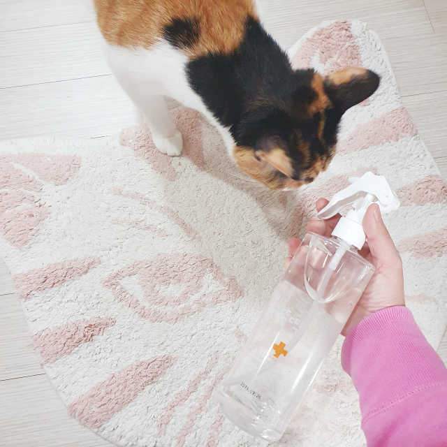 [펫토리아]살균뚝딱 강아지 고양이 살균소독제 탈취제 리뷰 사진