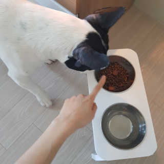 csong님이 올린 리뷰 사진 1