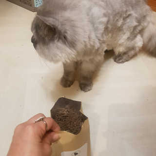 박오뎅님이 올린 리뷰 사진 2
