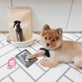 은선이짱님이 올린 리뷰 사진 1