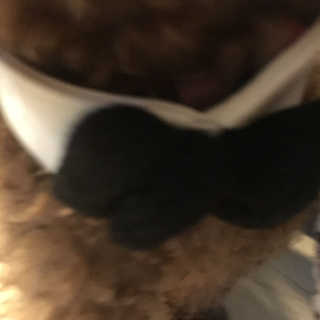 행복하고건강하기님이 올린 리뷰 사진 1