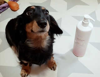 아쿠아큐링 아쿠아S링 퓨어리프레싱 헤어케어 500ml — 5점을 준 리뷰어가 2018년 7월 올린 사용 사진