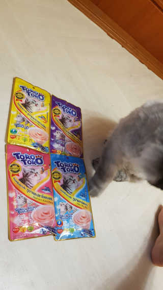 박오뎅님이 올린 리뷰 사진 2