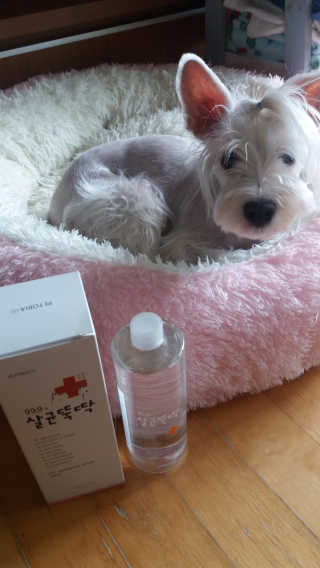 [펫토리아]살균뚝딱 강아지 고양이 살균소독제 탈취제 — 5점을 준 리뷰어가 2019년 10월 올린 사용 사진