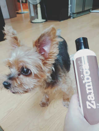 snoopy님이 올린 리뷰 사진 2