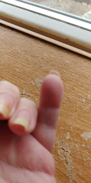 OmneyasWISH님이 올린 리뷰 사진 2