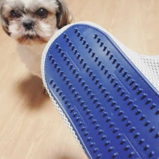 Four paws 리뉴얼 포포즈 매직코트 털 제거 브러쉬 — 5점을 준 리뷰어가 2018년 8월 올린 사용 사진