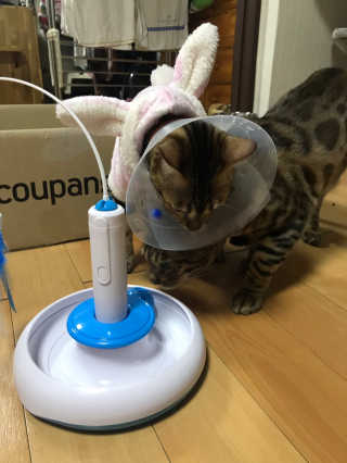 Erika님이 올린 리뷰 사진 3