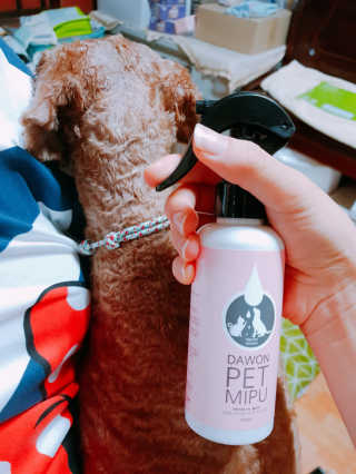 소윤님이 올린 리뷰 사진 1