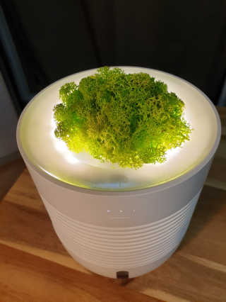 롤리팝님이 올린 리뷰 사진 1