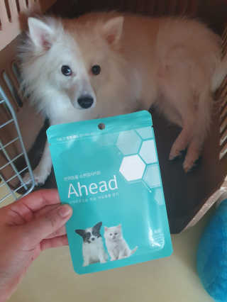 앙꼬빠진찐빵님이 올린 리뷰 사진 1
