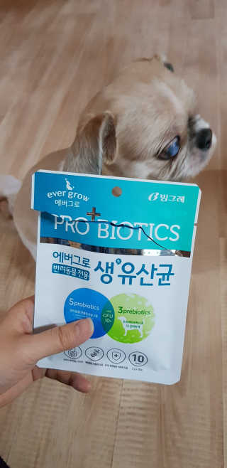 엘리님이 올린 리뷰 사진 4