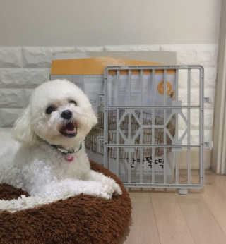 설량님이 올린 리뷰 사진 1