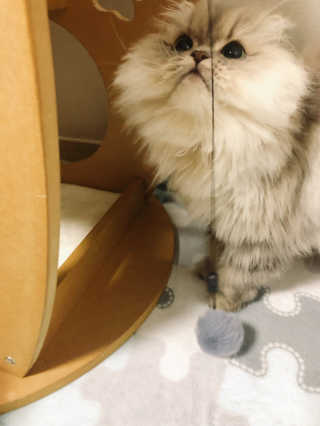 꼬끼오님이 올린 리뷰 사진 4