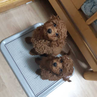 seni님이 올린 리뷰 사진 1