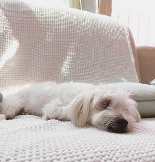 아이린지니님이 올린 리뷰 사진 4
