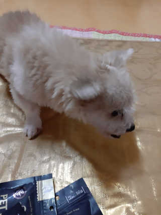 moomoon님이 올린 리뷰 사진 3